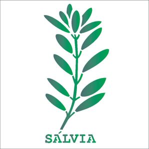 14x14-Simples---Tempero-Salvia---OPA2022---Colorido