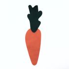 cenoura-1