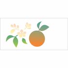 7x15-Simples---Flor-de-Laranjeira---OPA1959 7x15-Simples---Flor-de-Laranjeira---OPA1959