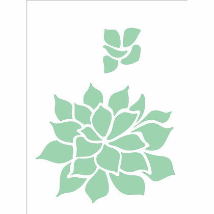 15x20-Simples---Palntas-Suculenta---OPA2499 15x20-Simples---Palntas-Suculenta---OPA2499