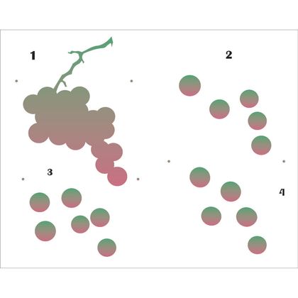 20x25-Simples---Frutas-Uva---OPA1792---Colorido 20x25-Simples---Frutas-Uva---OPA1792---Colorido