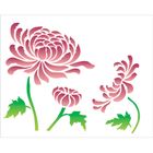 20x25-Simples---Flor-Crisantemo---OPA2182