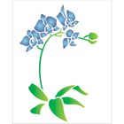 20x25-Simples---Phalaenopsis---OPA1454---Colorido