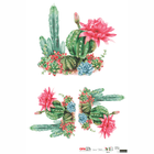 XX_OPAPEL-30X45---Plantas-Cactos-I---7898507338978---2567 XX_OPAPEL-30X45---Plantas-Cactos-I---7898507338978---2567