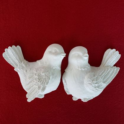 PR-2passaros PR-2passaros