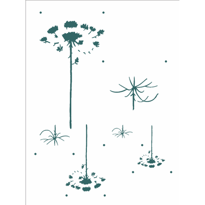 15x20-Simples---Country-Brasil---Araucaria---OPA2928 15x20-Simples---Country-Brasil---Araucaria---OPA2928