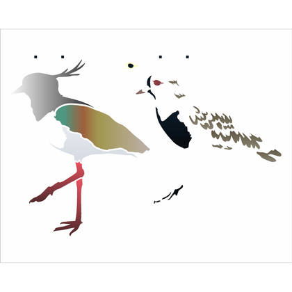 3165---20x25-Simples---Animal-Passaro-Quero-Quero