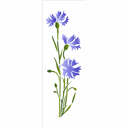 3459---10x30-Simples---Flores-Centaurea-Cyanus